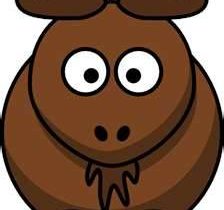 The Buffalo Man